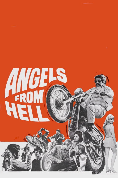 Movie poster for Angels from Hell (1968)