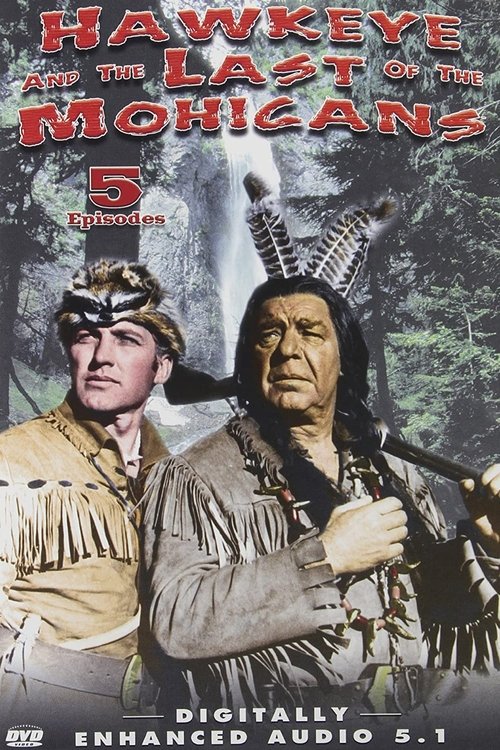 Movie poster for The Long Rifle and the Tomahawk (1964)