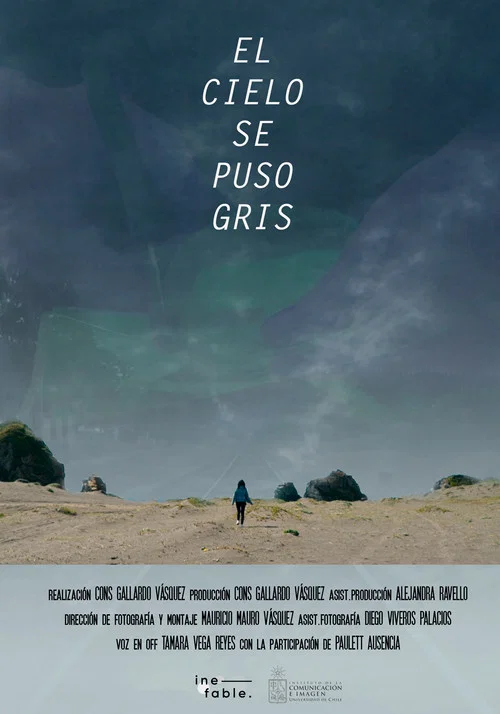 Movie poster for The Sky Turned Gray (2020)