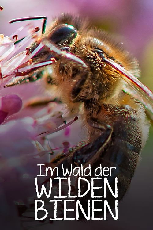 Movie poster for Im Wald der wilden Bienen (2022)