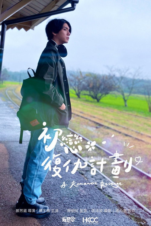 Movie poster for A Romantic Revenge