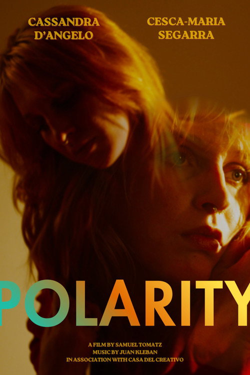 Movie poster for Polarity (2026)