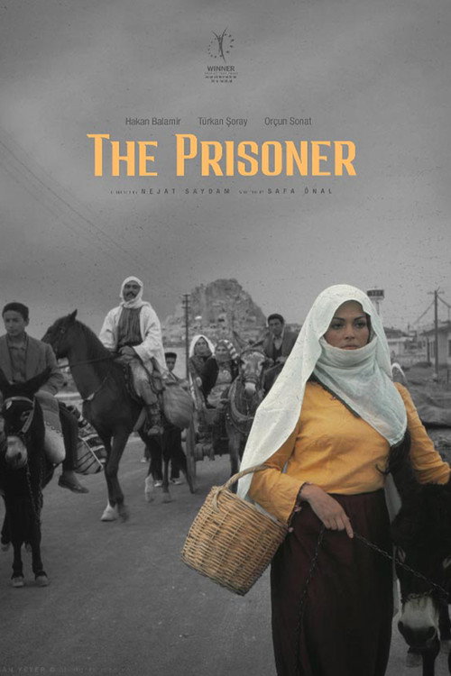 Movie poster for The Prisoner (1973)