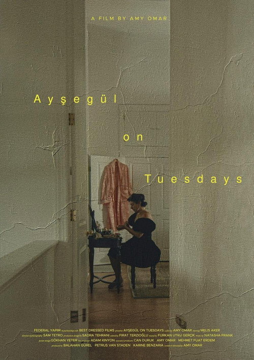 Movie poster for Ayşegül on Tuesdays (2025)