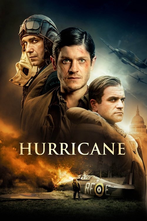 Movie poster for Hurricane (2018)