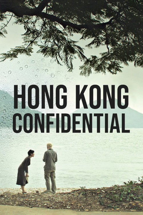 Movie poster for Hong Kong Confidential (2010)