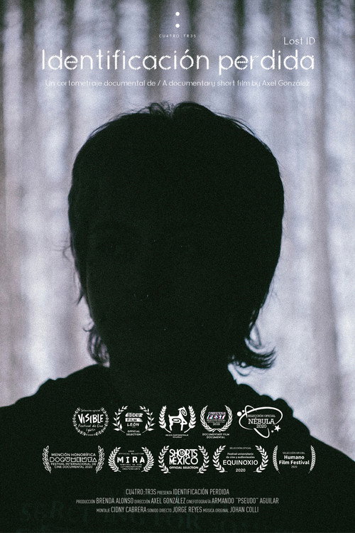 Movie poster for Lost ID (2020)