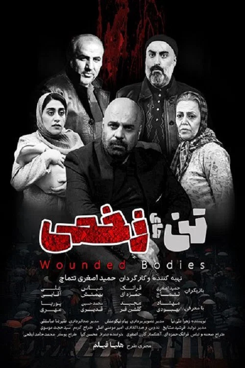 Movie poster for Wounded bodies (2025)