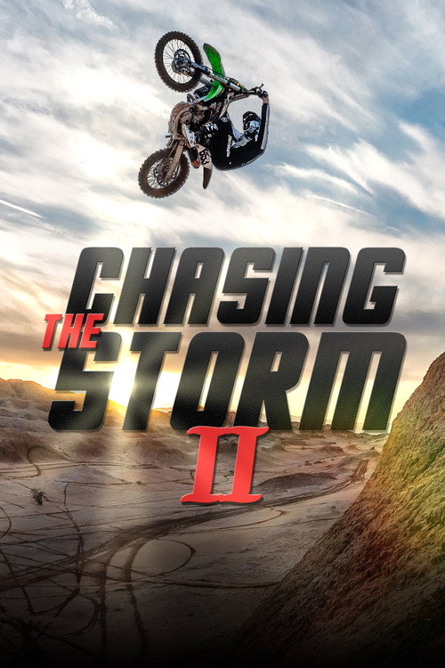 Movie poster for Chasing The Storm 2 (2017)