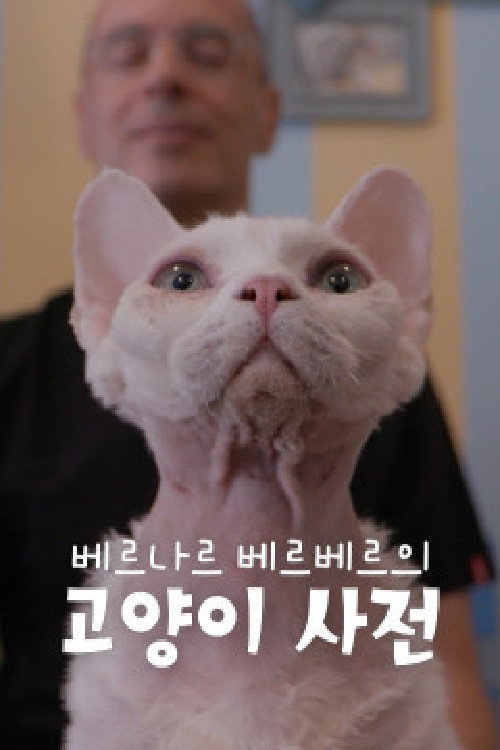 베르나르 베르베르의 고양이 사전 poster