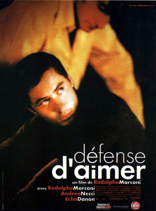 Movie poster for Love Forbidden (2002)