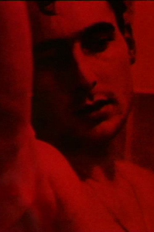 Movie poster for Exposed (1997)