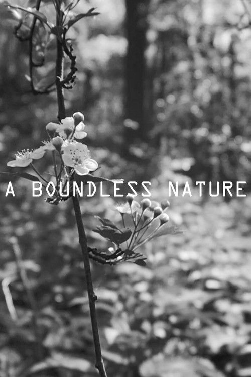 A Boundless Nature poster
