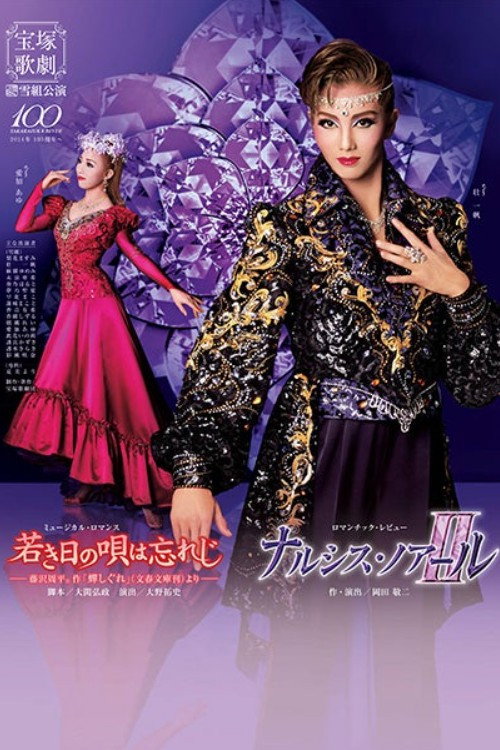 Movie poster for I Won't Forget the Young Day's Song / Narcisse Noir II (2013)