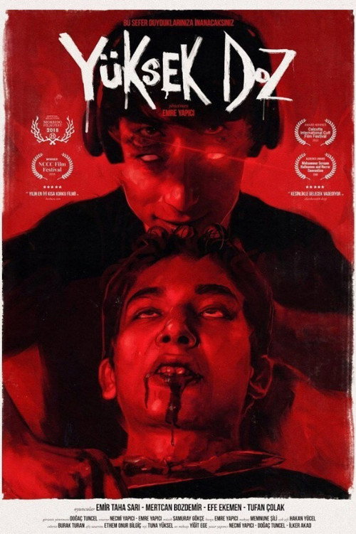 Movie poster for Overdose (2018)