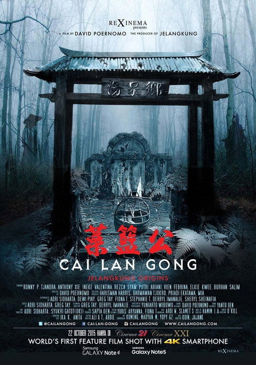 Movie poster for Cai Lan Gong (2015)