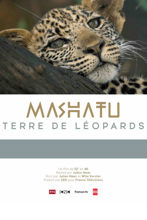 Movie poster for Mashatu: Land of Leopards (2024)