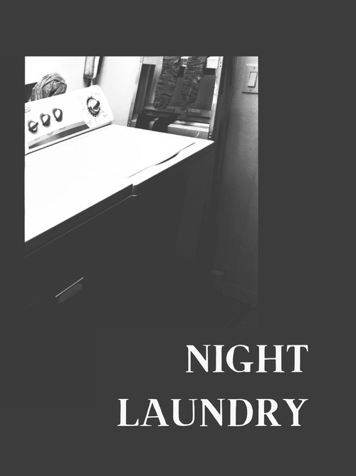 Movie poster for NIGHT LAUNDRY (2021)