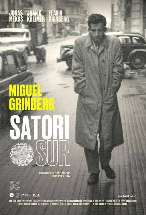 Movie poster for Satori Sur (2019)