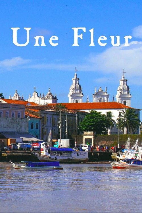 Series poster for Une fleur dans le Pacifique (2014)