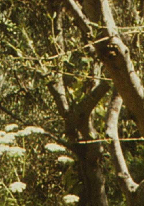 Movie poster for Envío 6 (2007)