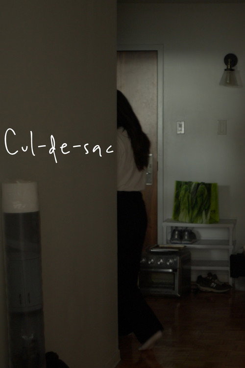 Movie poster for Cul-de-sac (2023)