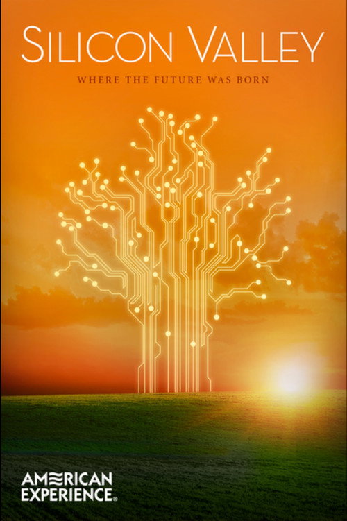 Movie poster for Silicon Valley (2013)