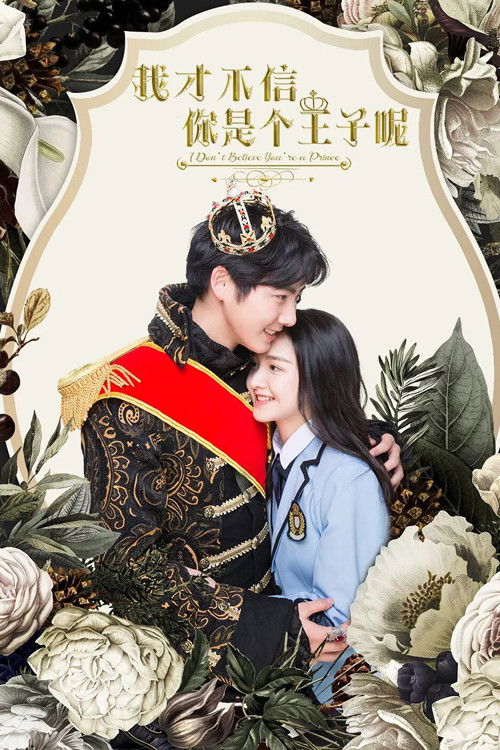 Movie poster for I Don't Believe You're a Prince (2020)