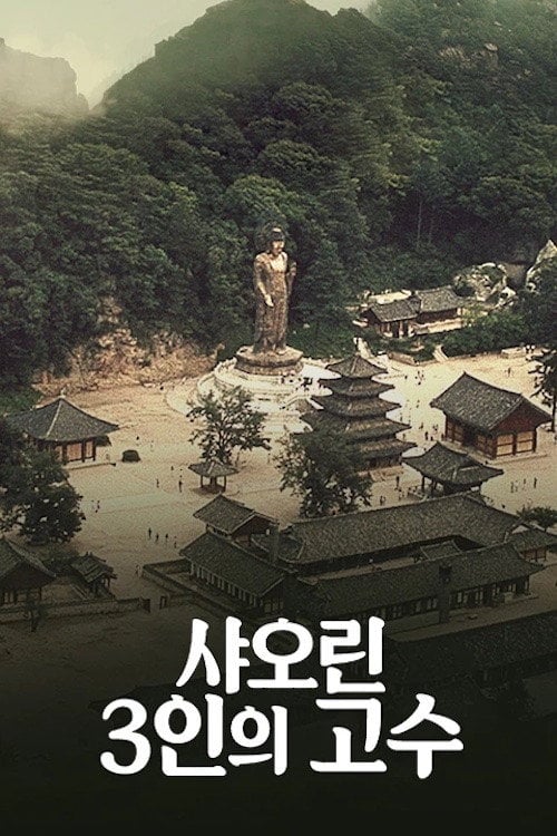 Movie poster for Internal Struggle (2018)
