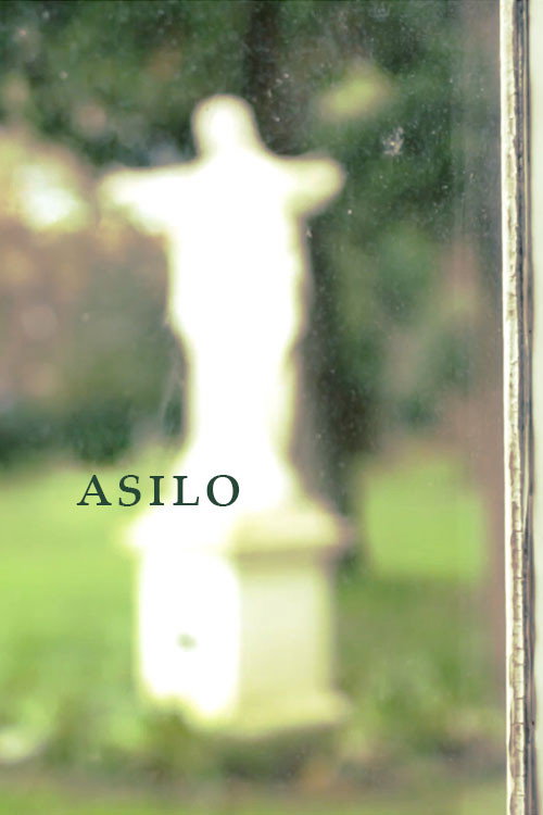 Movie poster for Asilo (2018)