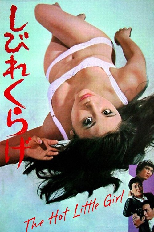 Movie poster for The Hot Little Girl (1970)