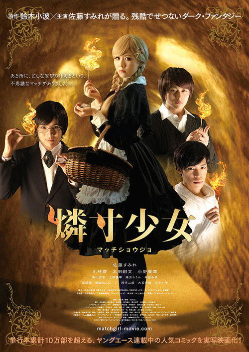 Movie poster for The Match Girl (2016)