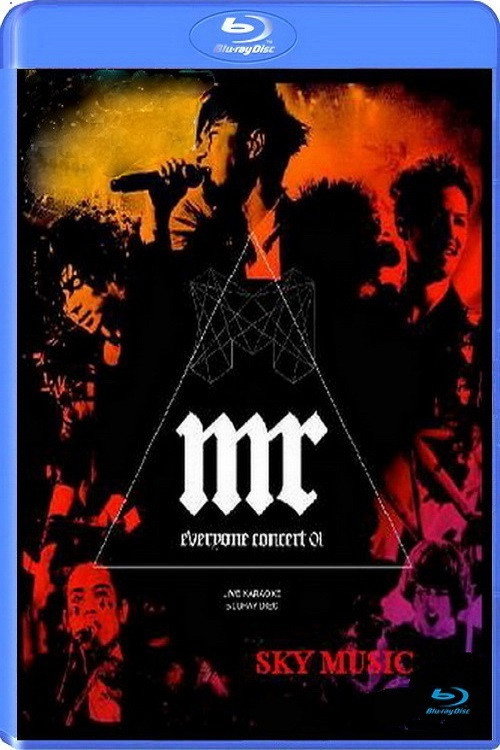 Movie poster for Everyone Concert 2010 (2010)