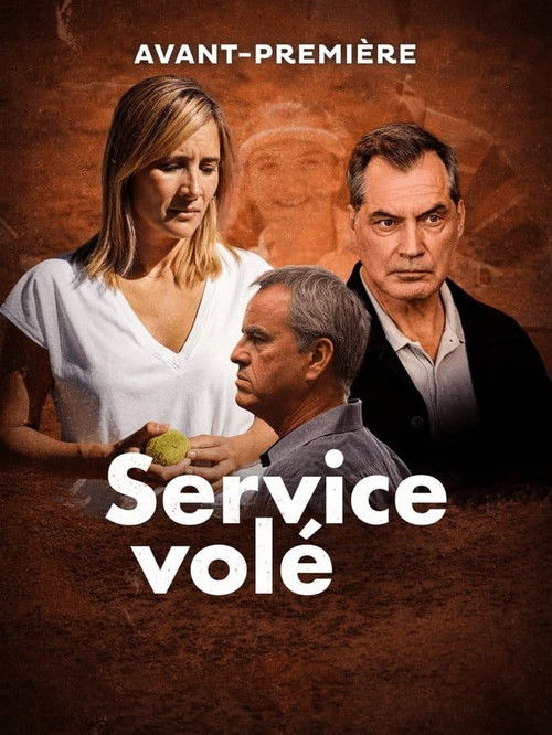 Service volé poster