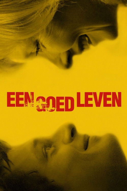 Movie poster for A Good Life (2015)