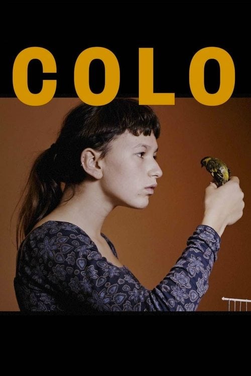 Movie poster for Colo (2017)