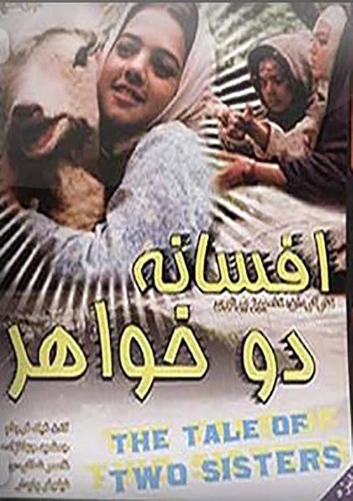 Movie poster for The Legend of the Two Sisters (1994)