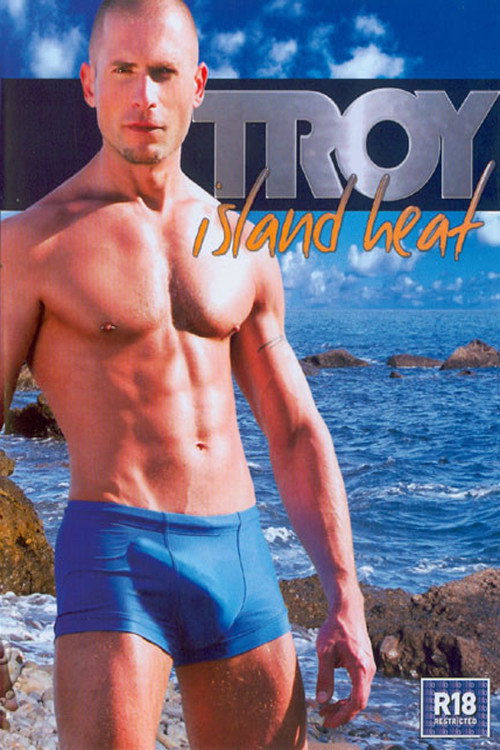 Movie poster for Troy: Island Heat (2008)