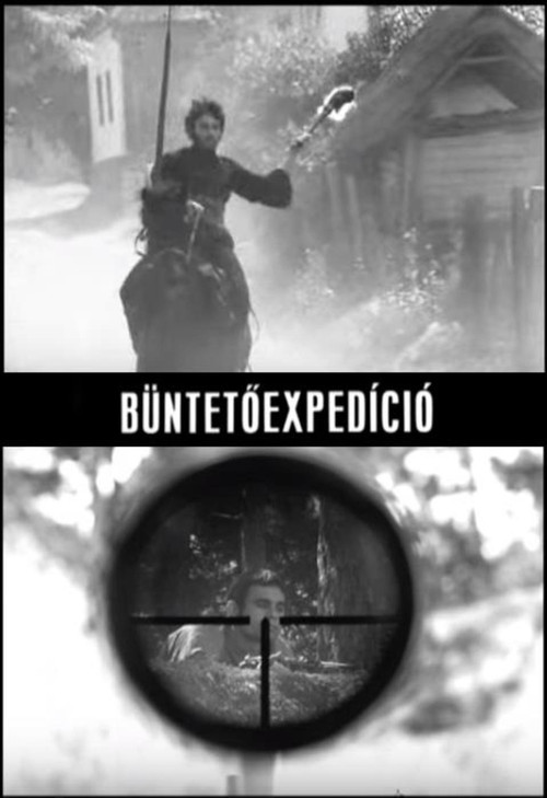 Movie poster for Punitive Expedition (1970)