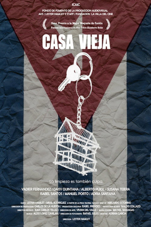 Movie poster for The Old House (2010)