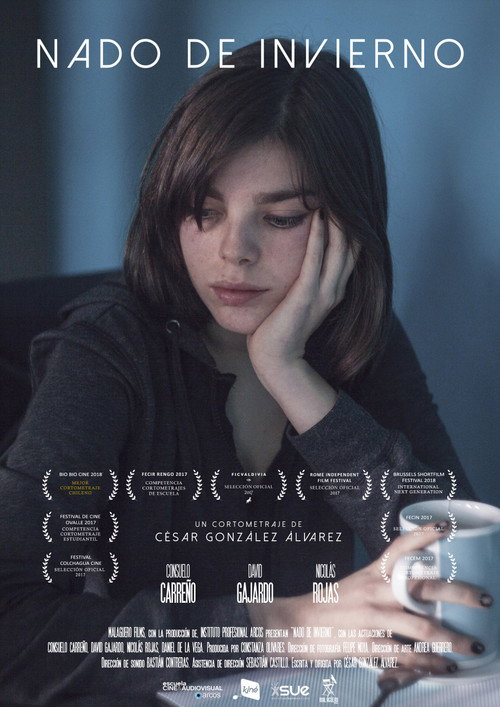 Movie poster for The Winter Swim (2017)
