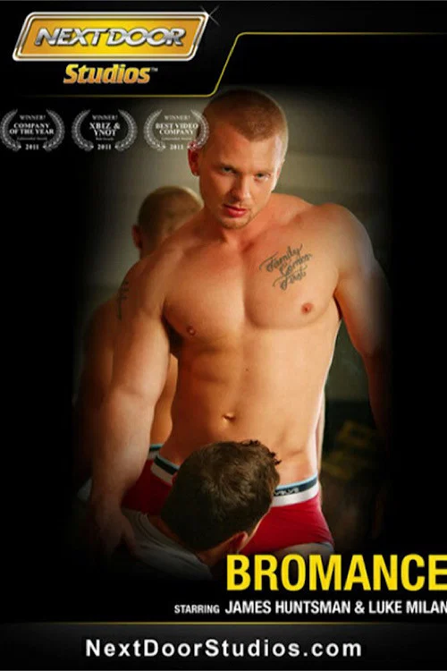 Movie poster for Bromance (2014)
