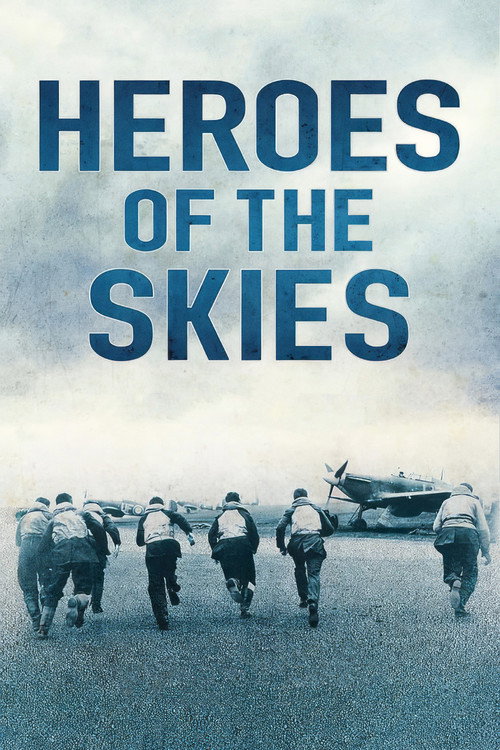Heroes of the Skies poster