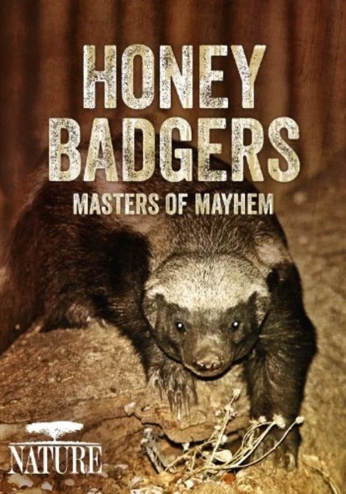 Movie poster for Honey Badgers: Masters of Mayhem (2014)