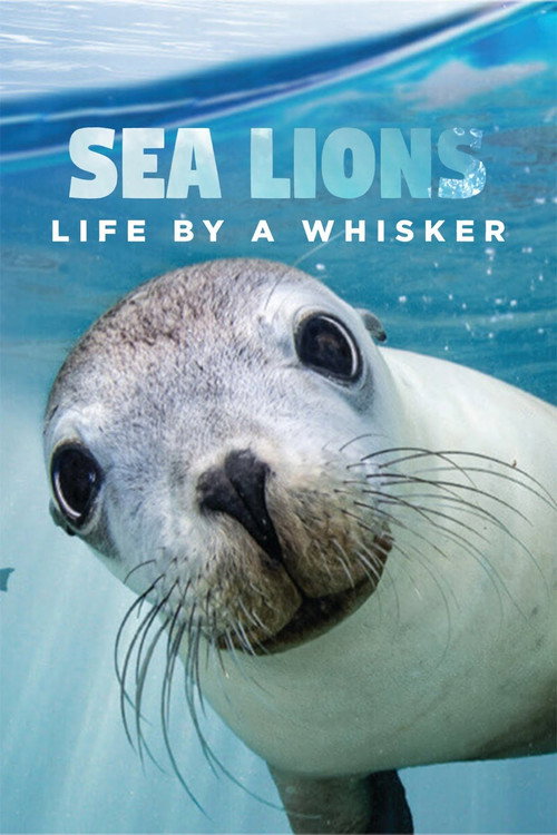Movie poster for Sea Lions: Life By a Whisker (2020)