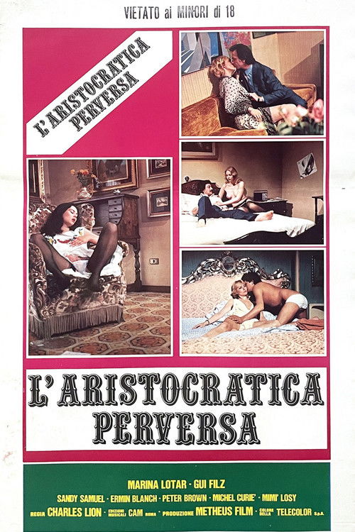 Movie poster for Aristocratica perversa (1982)