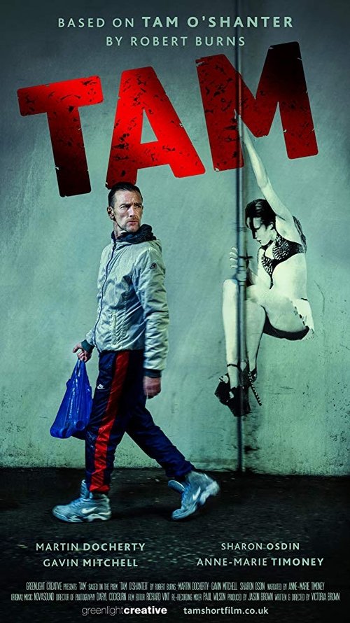 Movie poster for TAM (2017)