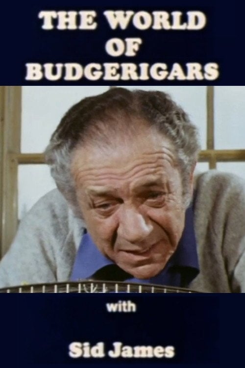 Movie poster for The World of Budgerigars (1976)