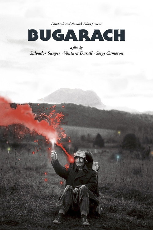 Movie poster for Bugarach (2014)