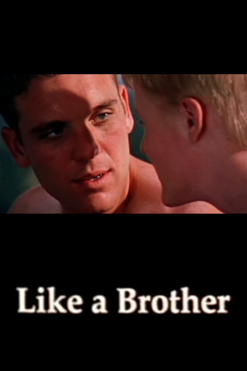 Movie poster for Like a Brother (2002)